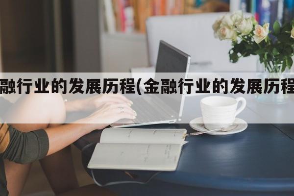 金融行业的发展历程(金融行业的发展历程图)